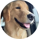 飼い主さんの声