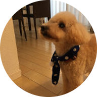 飼い主さんの声